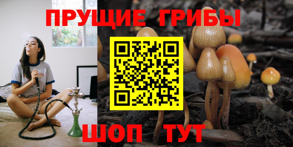 Галлюциногенные грибы ЛСД Димитровград