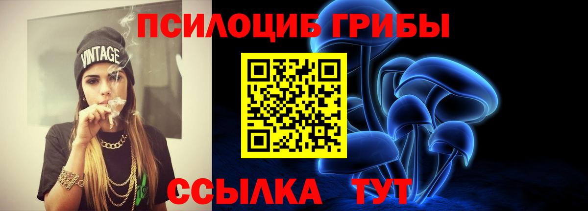 Галлюциногенные грибы MAGIC MUSHROOMS  Вход с VPN  Димитровград  Псилоцибиновые грибы Psilocybine cubensis 